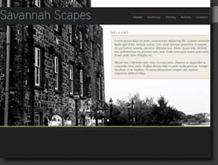 custom website created for our Savannah photography project